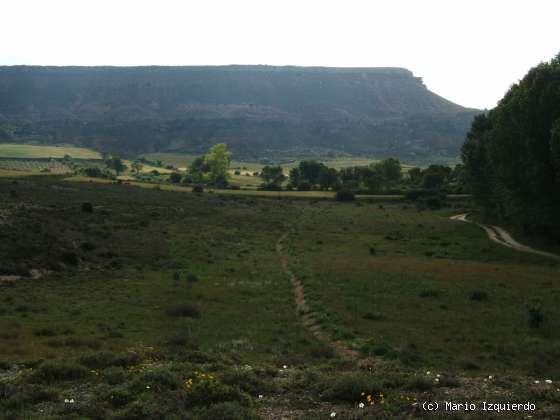 Peñalba de San Esteban: Mioceno