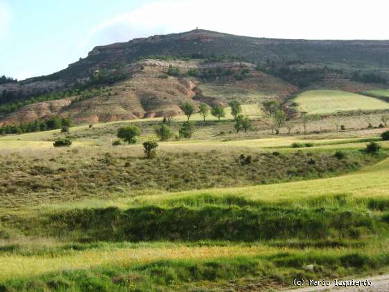 Peñalba de San Esteban: Mioceno