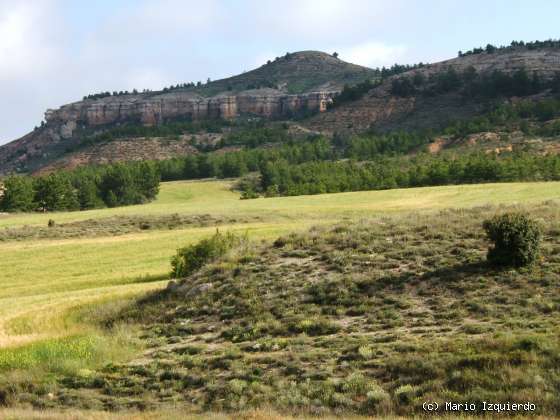 Peñalba de San Esteban: Mioceno