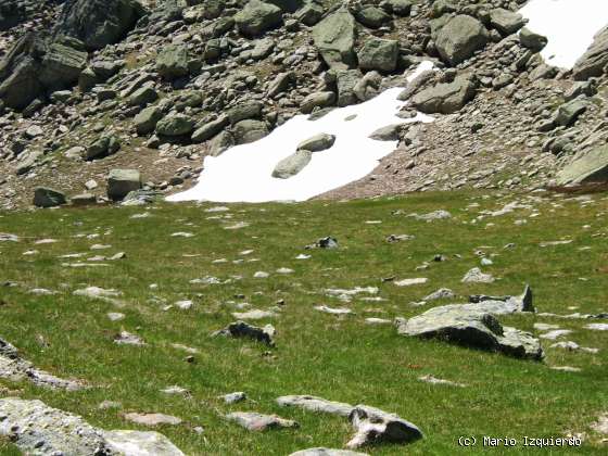 Sierra de Urbión: Glaciarismo