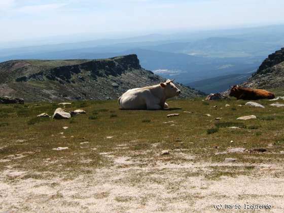 Sierra de Urbión: Glaciarismo