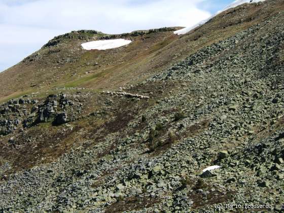 Sierra de Urbión: Glaciarismo