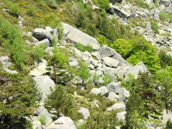 Sierra de Urbión: Glaciarismo