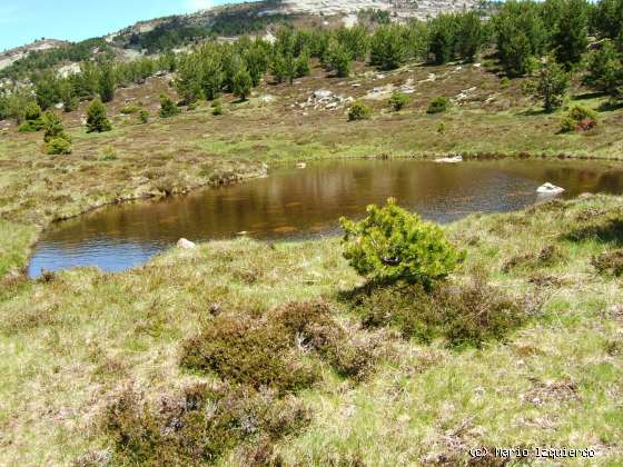 Sierra de Urbión: Glaciarismo