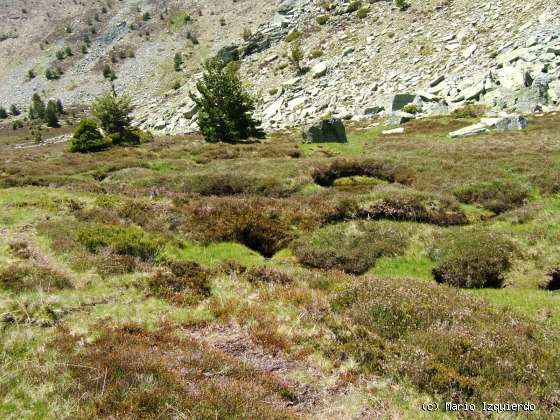 Sierra de Urbión: Glaciarismo