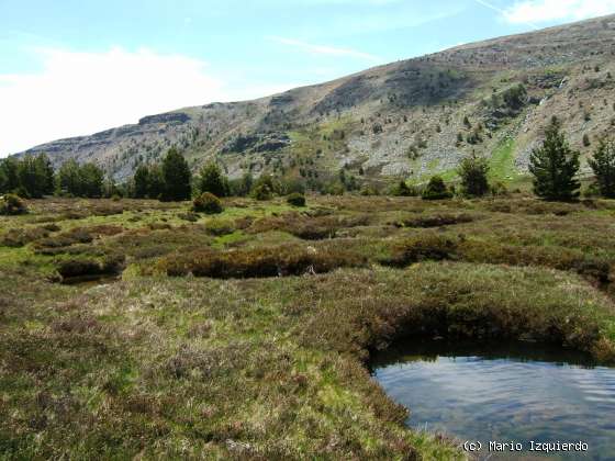 Sierra de Urbión: Glaciarismo