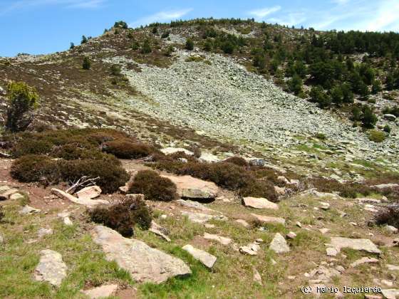 Sierra de Urbión: Glaciarismo