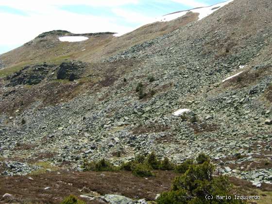 Sierra de Urbión: Glaciarismo