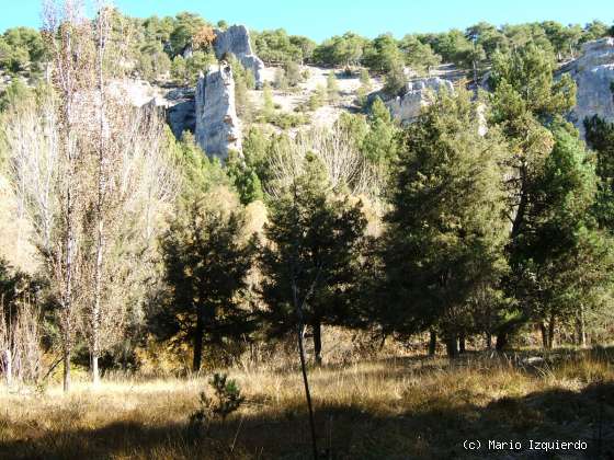 Ucero-San Leonardo de Yagüe: Cañon del Río Lobos