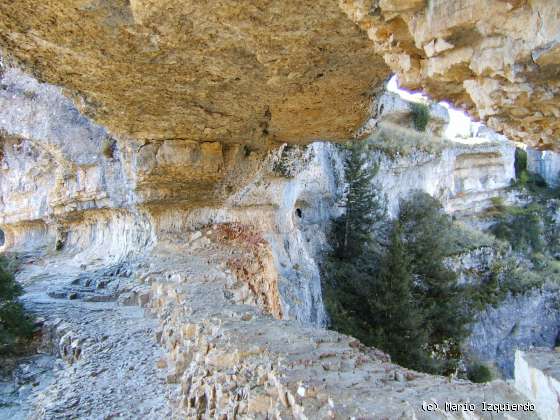 Ucero-San Leonardo de Yagüe: Cañon del Río Lobos