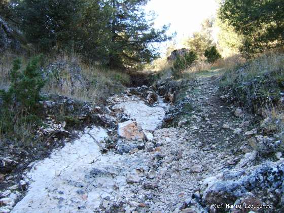 Ucero-San Leonardo de Yagüe: Cañon del Río Lobos