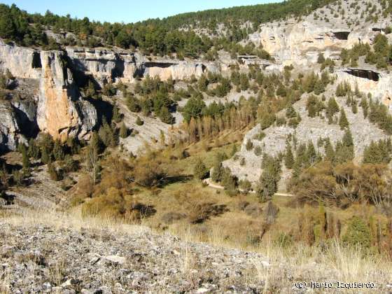 Ucero-San Leonardo de Yagüe: Cañon del Río Lobos