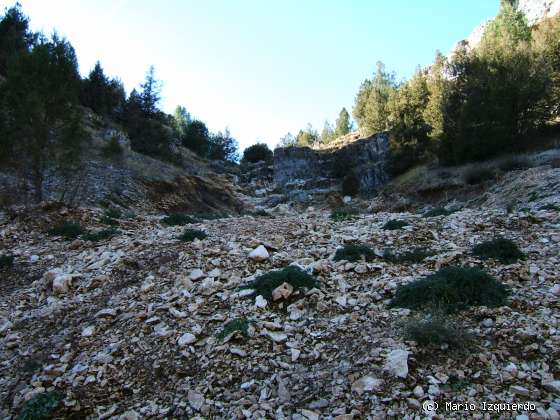 Ucero-San Leonardo de Yagüe: Cañon del Río Lobos