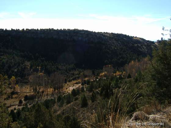 Ucero-San Leonardo de Yagüe: Cañon del Río Lobos