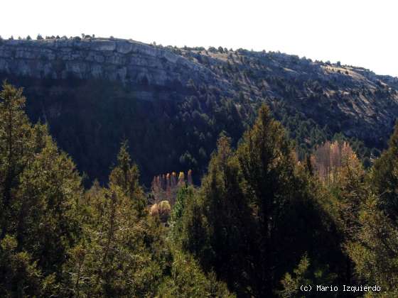 Ucero-San Leonardo de Yagüe: Cañon del Río Lobos