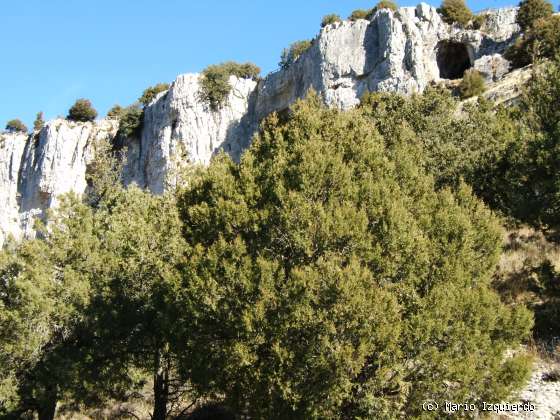 Ucero-San Leonardo de Yagüe: Cañon del Río Lobos