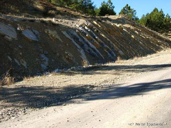 Ucero-San Leonardo de Yagüe: Cañon del Río Lobos