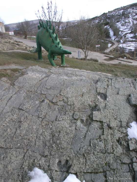 Santa Cruz de Yanguas: Icnofósiles de ornitópodos (iguanodóntido