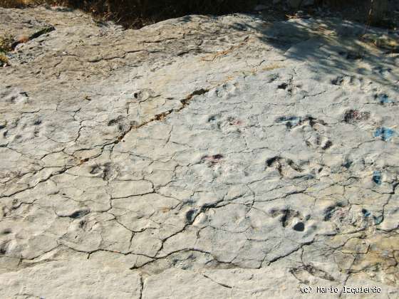 Villar del Río (I): icnitas