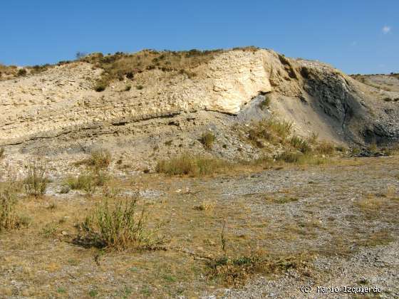 Villar del Río (II): tectónica