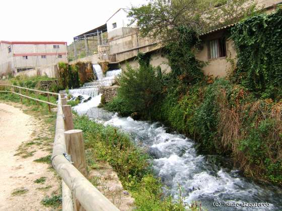 Vozmediano: Surgencia del Río Queiles