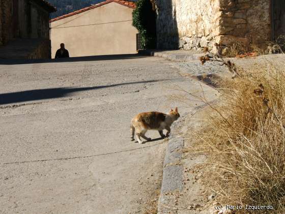 Orihuela del Tremedal