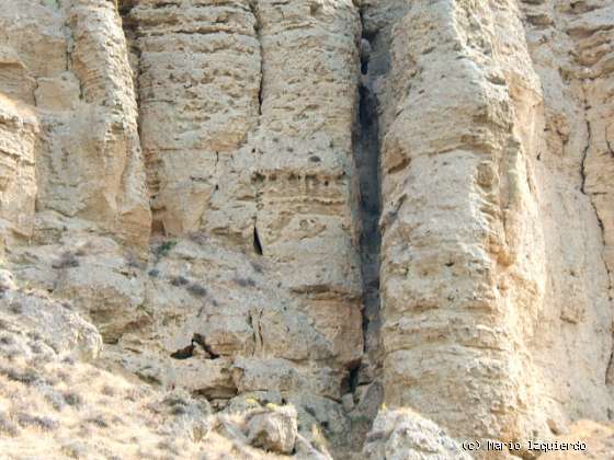 Tielmes: Cuevas del Neolítico (IV)