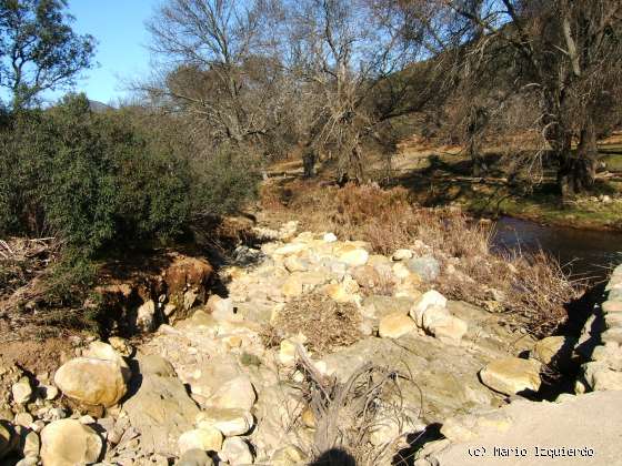 Montes de Toledo: Ordovícico