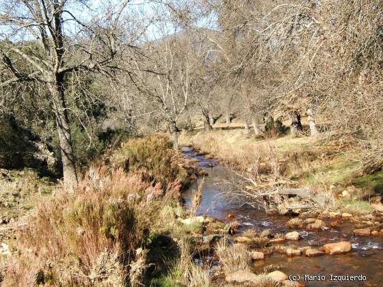 Montes de Toledo: Ordovícico