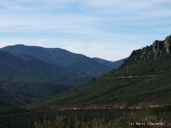 Montes de Toledo: Ordovícico