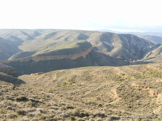 Cortes de Aragón