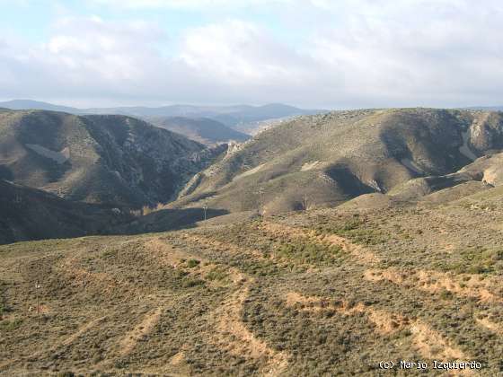 Cortes de Aragón