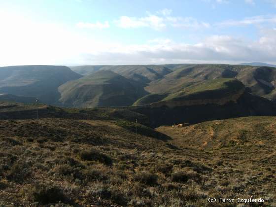 Cortes de Aragón