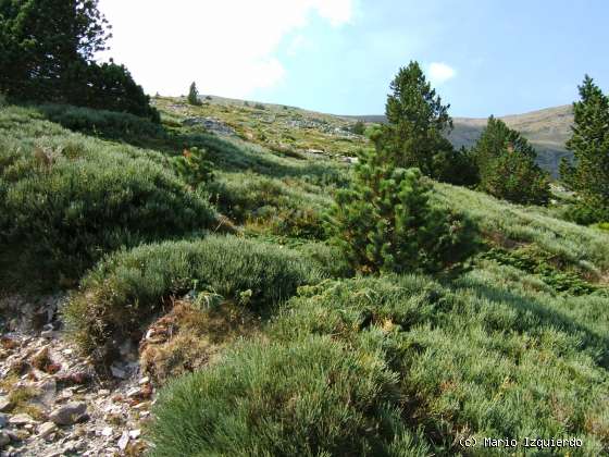 Moncayo (I): Glaciarismo