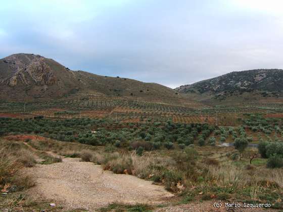 Graben de Morés