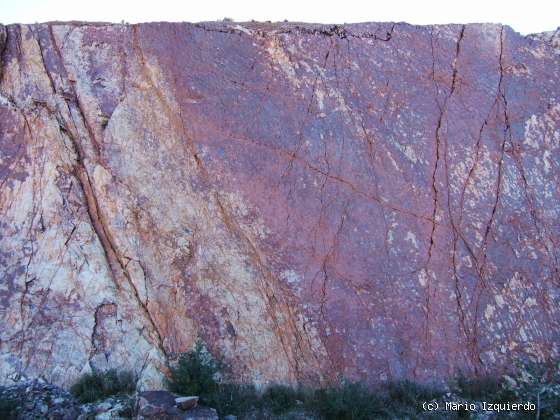 Purroy: Minerales de Hierro