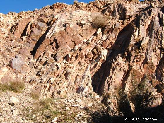 Purroy: Minerales de Hierro