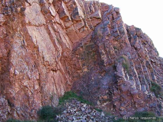 Purroy: Minerales de Hierro