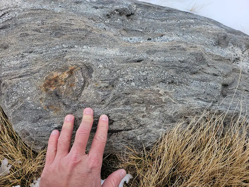 Migmatitas de Gredos