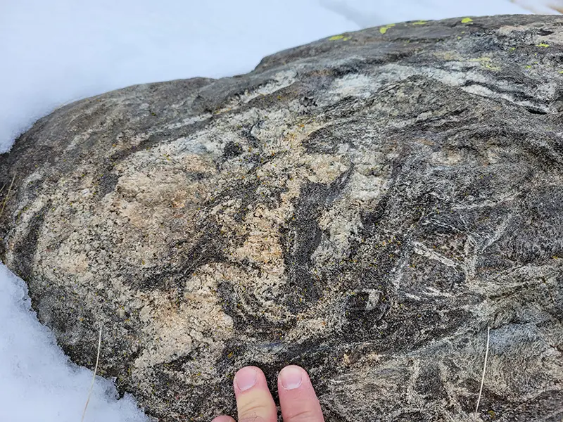 Migmatitas de Gredos