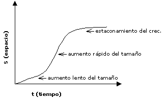 Crecimiento