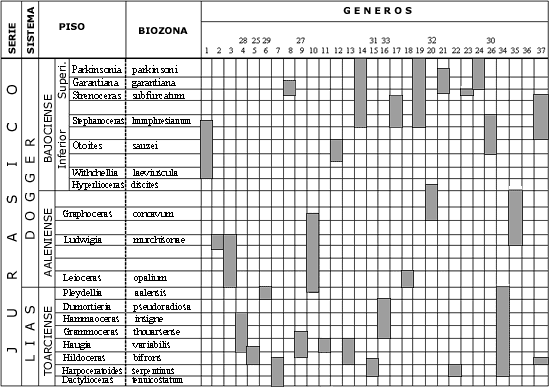 Distribución de ammonoideos en el Jurásico de Albarracín - Maranchón (España)